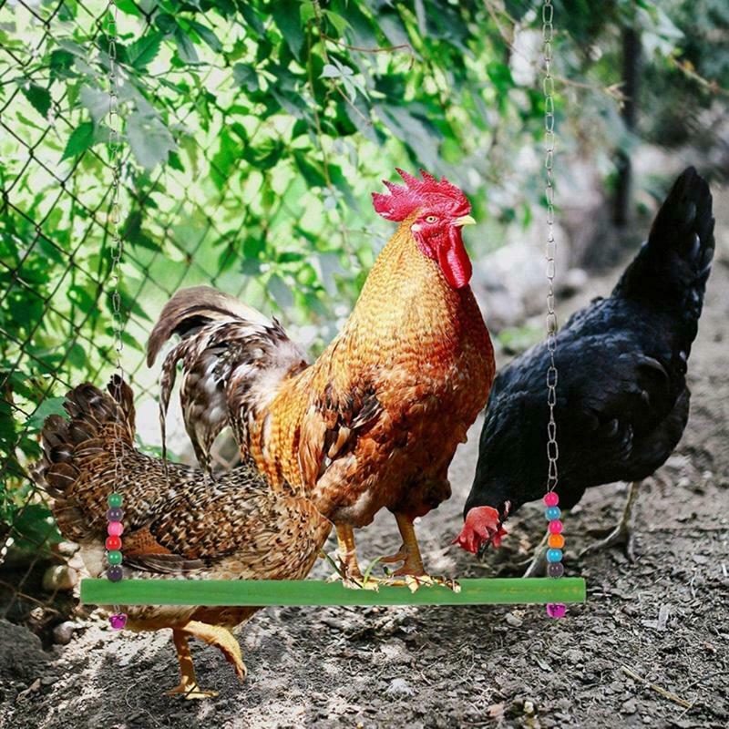 4Pcs Chicken Toys 2 Types Swing Toys Metal Vegetable Feeders Hanging for Coop