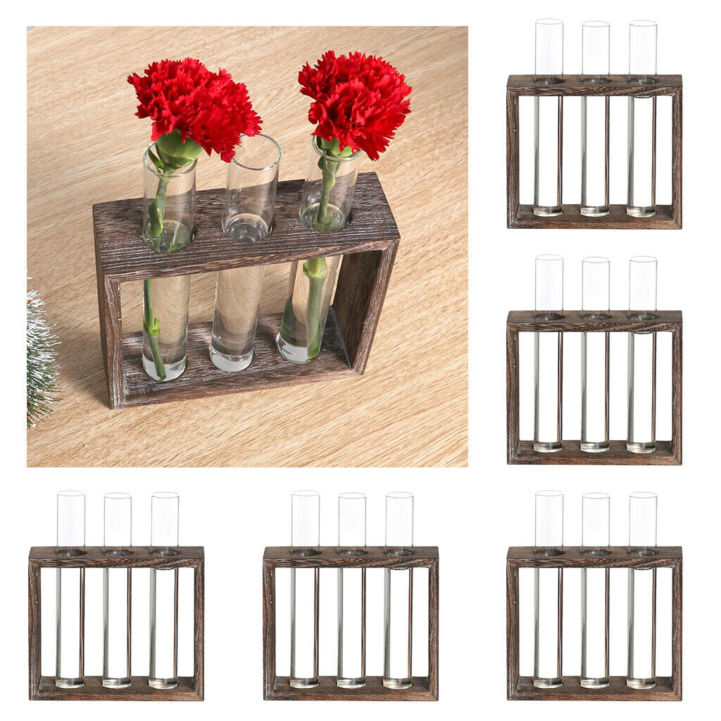 5pcs Test Tube Vase Terrariumin Vase Hydroponic Pot for Office Home Decor