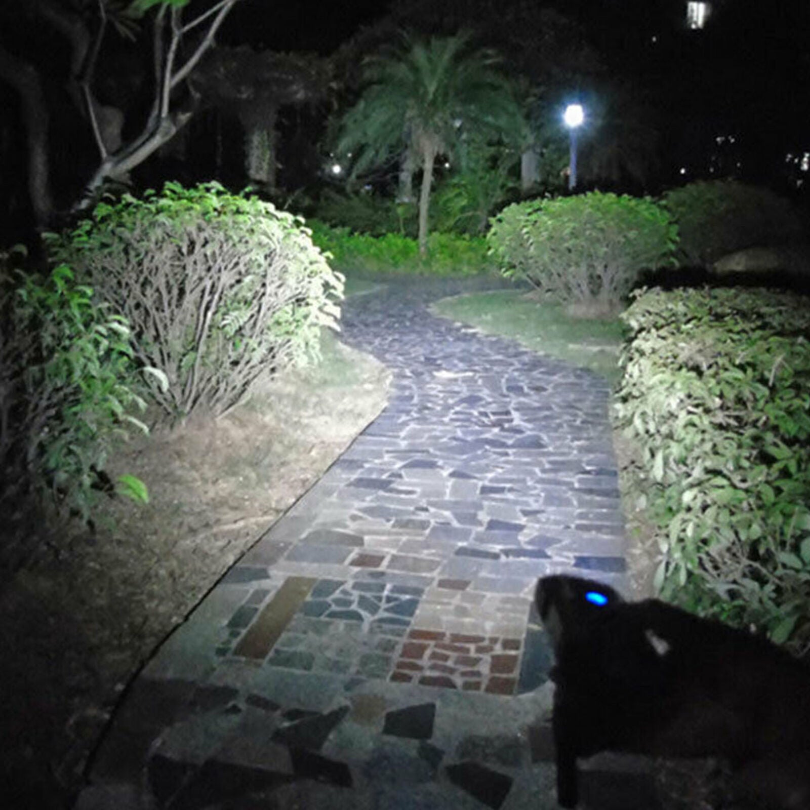 USB Rechargeable 2 LED Bicycle Lights Bike Head Front Lamp Rear Light