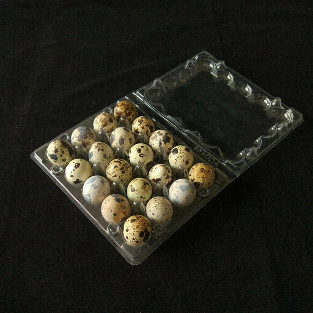 50Pcs Quail Egg Cartons Holds 20 Eggs Snap Close Plastic Box Container Packaging