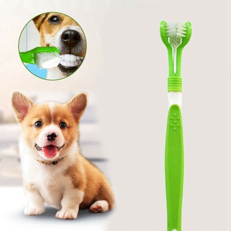 1X(Dog Toothbrush Puppy Teeth Brush Three Head Tartar Oral Care Tool B6Z1)1)