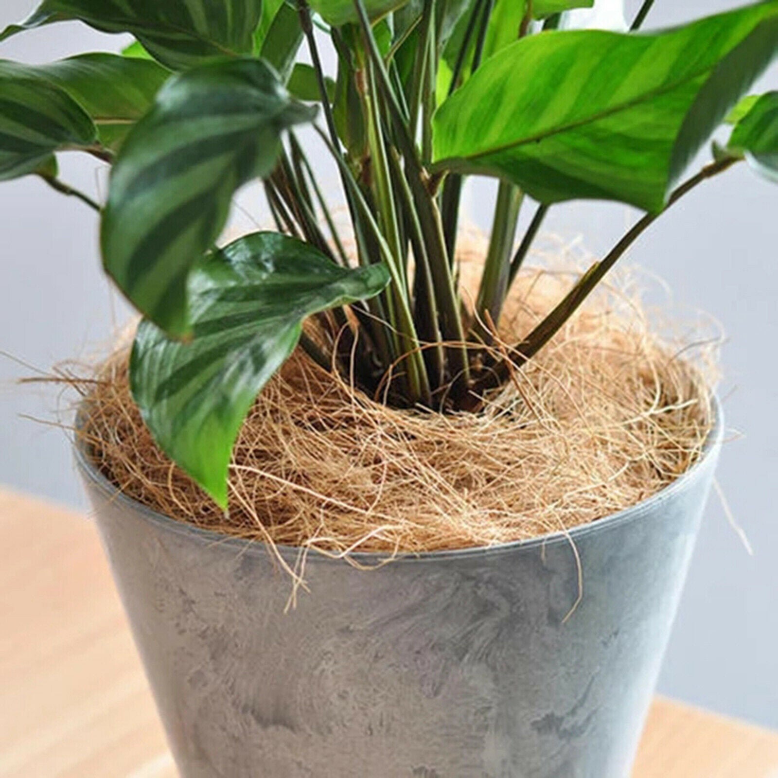 Natural Coco Coir Fiber Mulch Mat Tree Protector Eco-Friendly 16 Inches