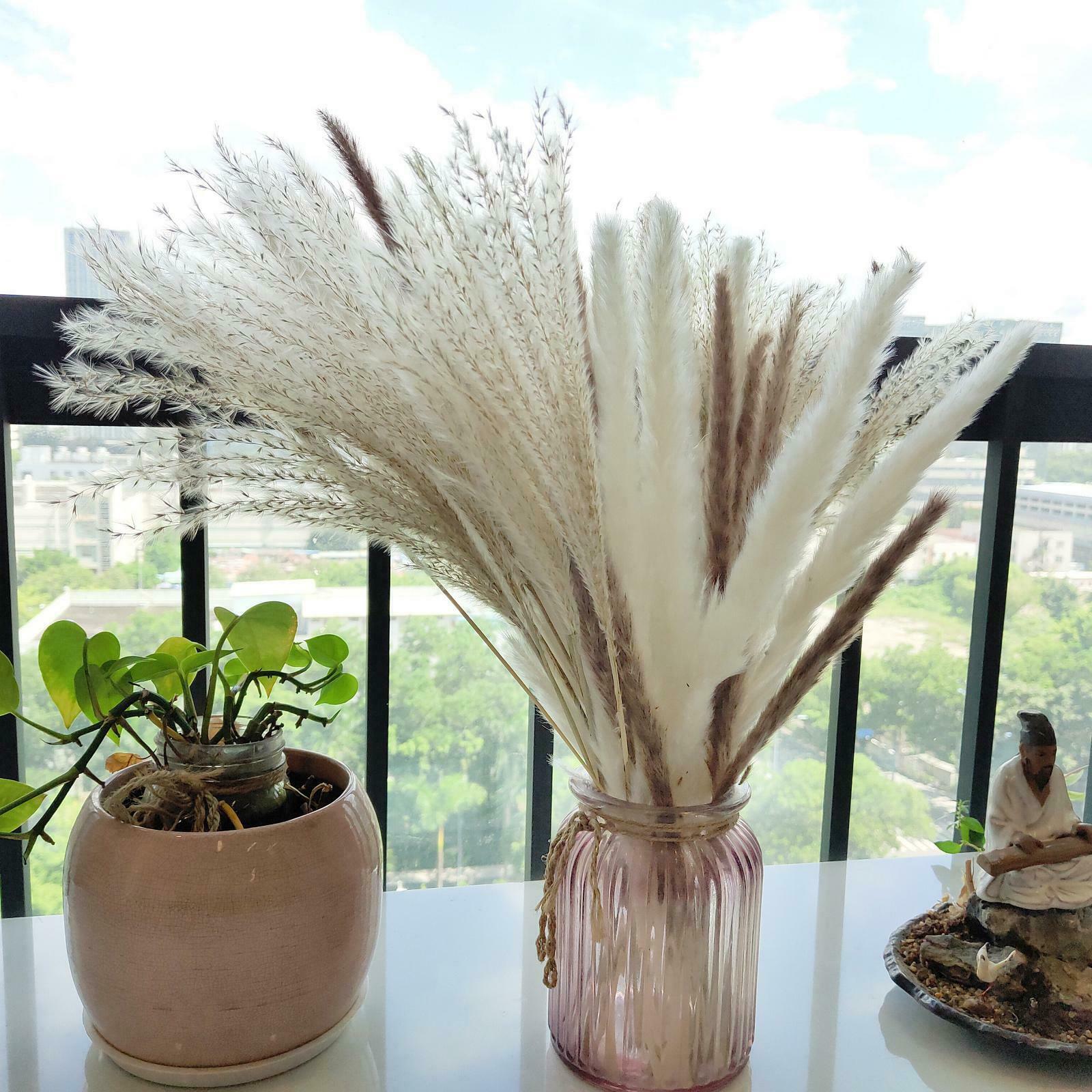Pampas Grass Natural Dried Pampas Grass Decor for Home Arrangements, Pampas