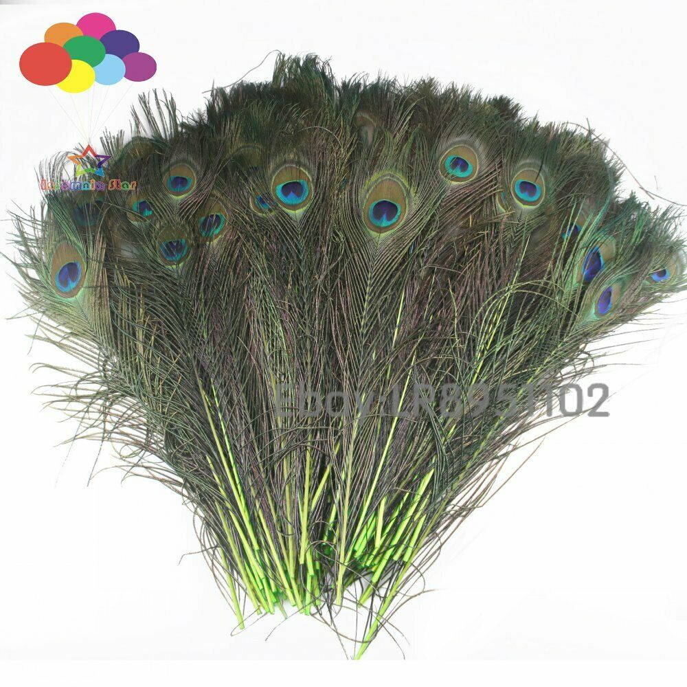 100 PCS Fluorescent peacock feathers dyed 40 to 45 centimeters 16 to 18 inches
