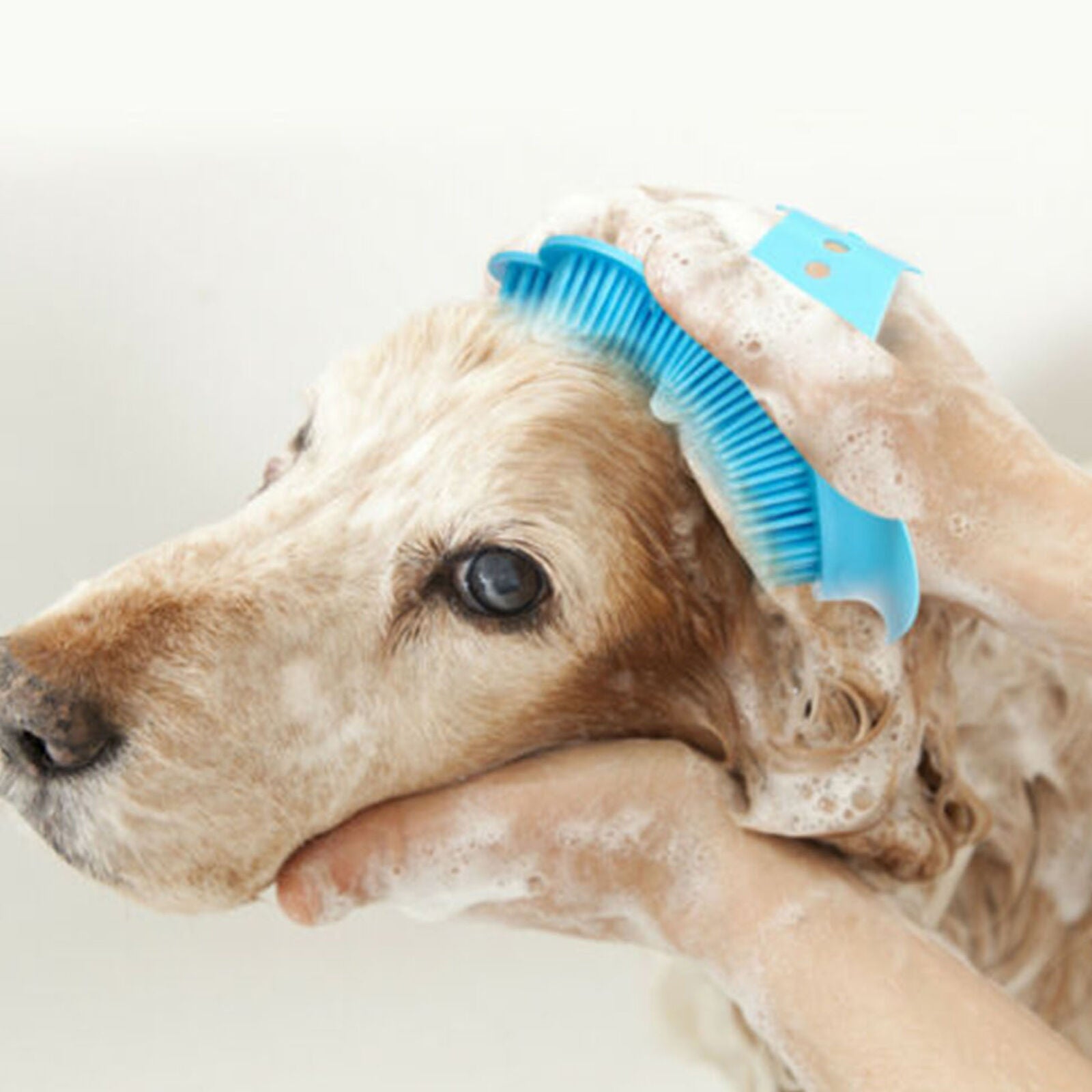 Pet Cat Dog Grooming Brush Cleaning Massage Comb Glove Tool for Small Large Dogs