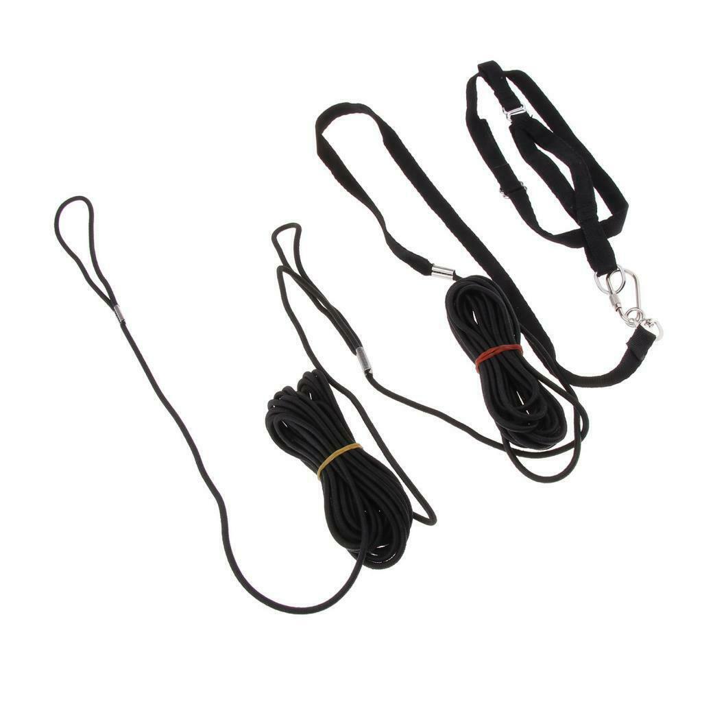 Parrot Bird Leash Outdoor Adjustable Harness Training Rope For Budgerigar Finch
