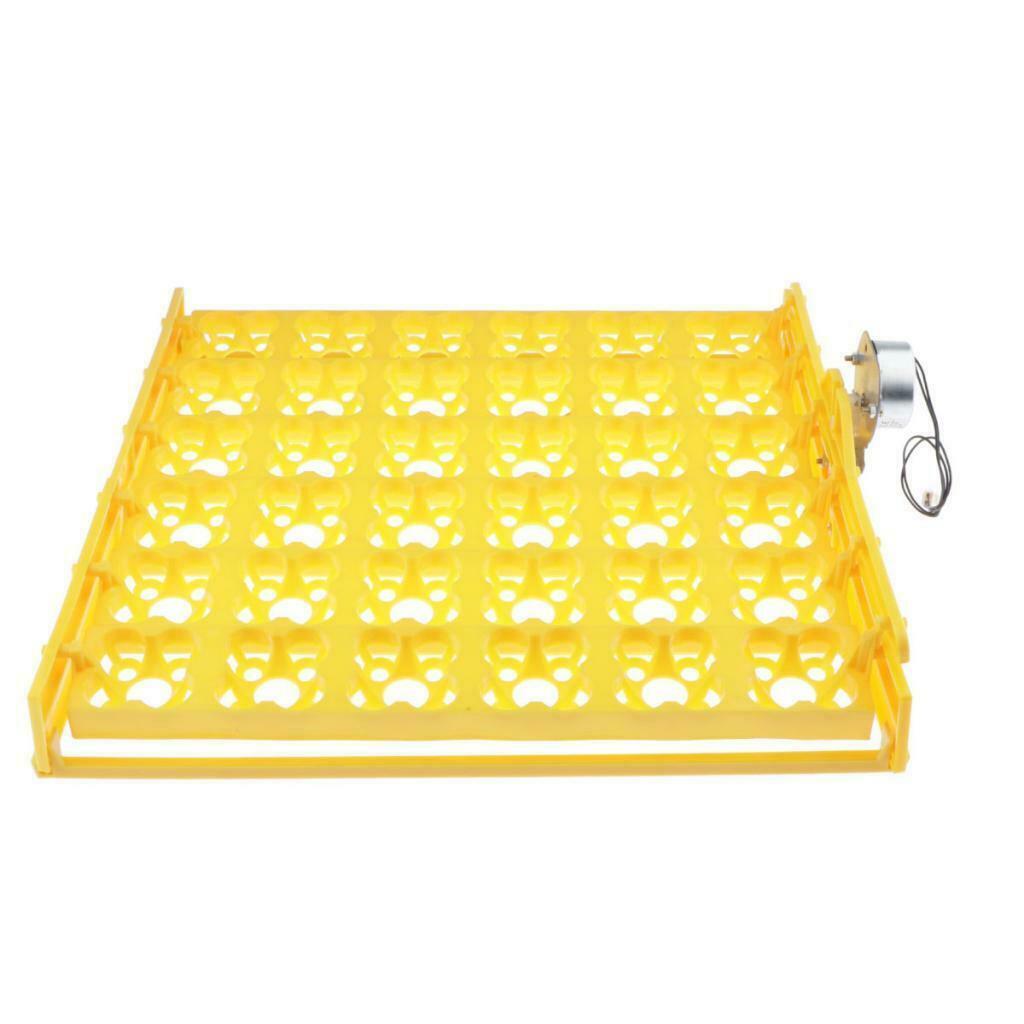 Plastic Automatic Egg Turner Tray, 36 Eggs Incubator Poultry Hatcher for Chicken