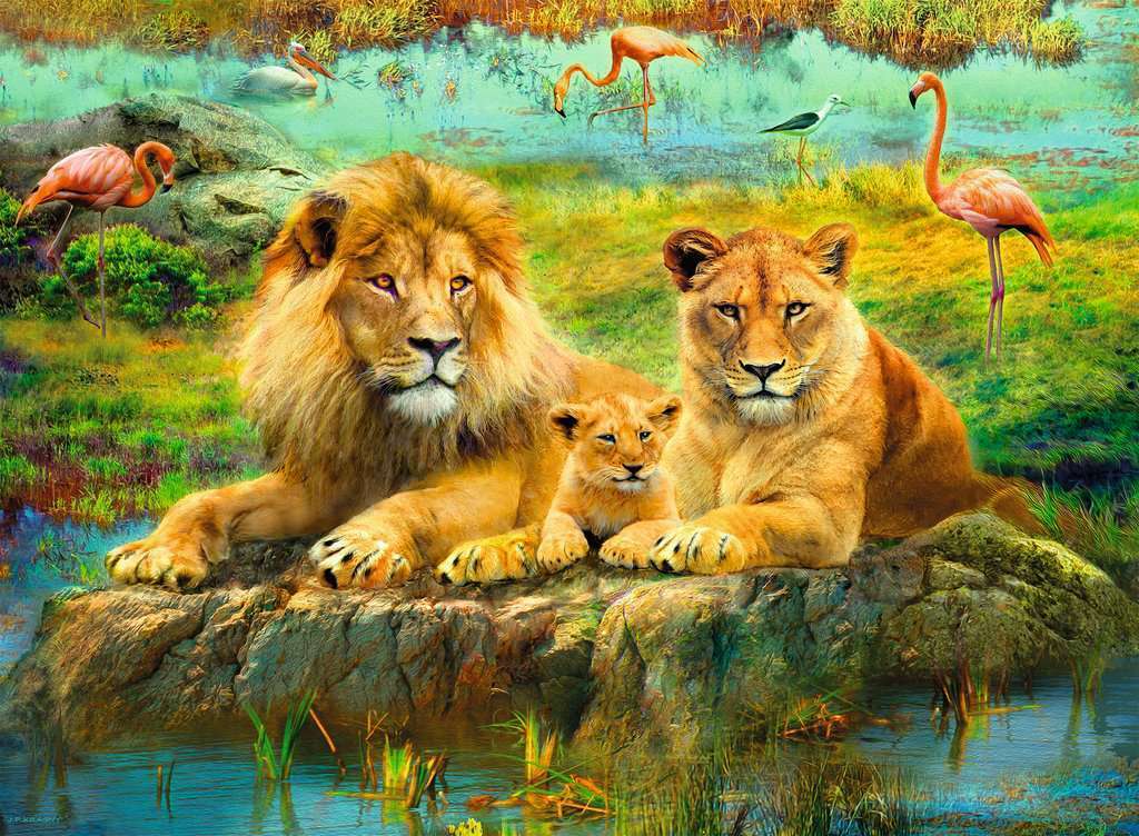 16584 Ravensburger Lions of the Savannah Jigsaw Puzzle 500pc Suitable for Age 10