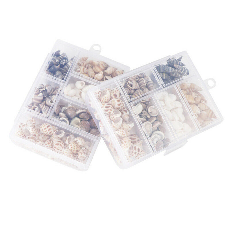 Natural Conch Shells Mini Conch Corn Screw Home Decoration Aquarium Lands.l8