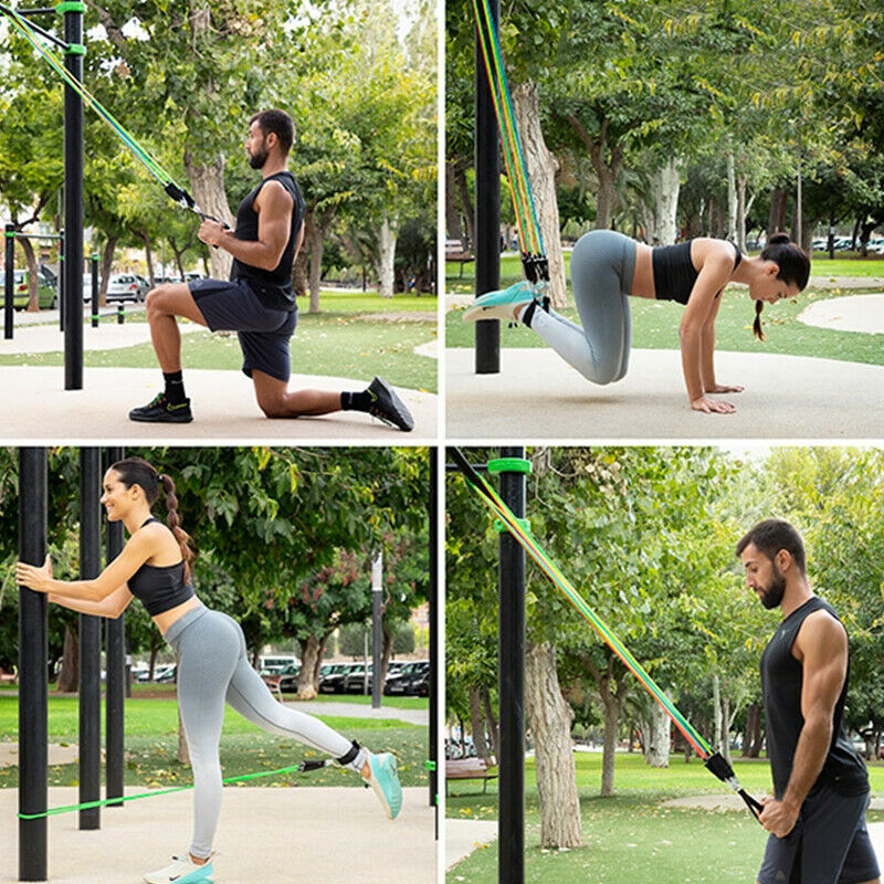 Shop-Story - Rebainer: Set 5 Bands Of Resistance With Accessories