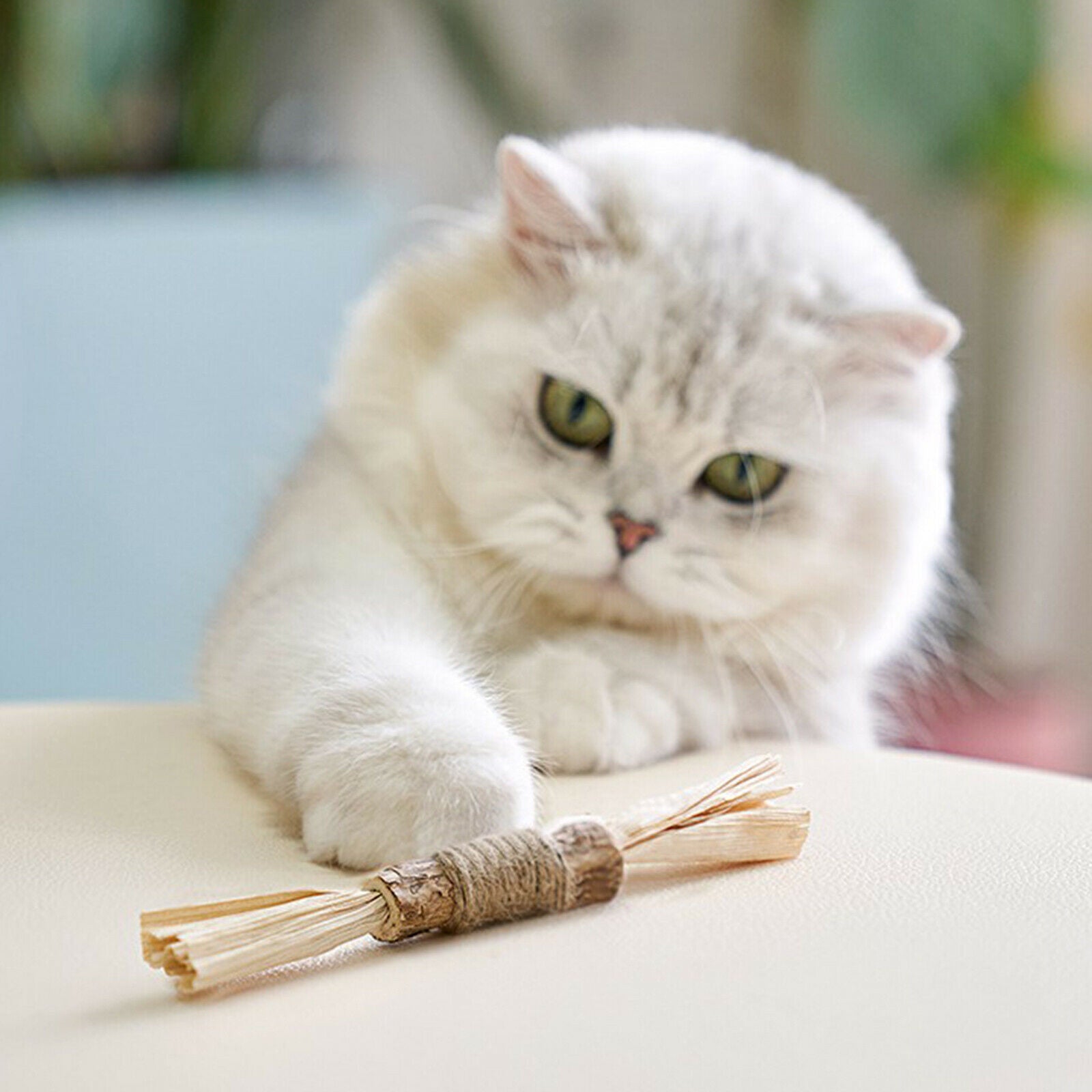Chewing sticks made of natural wood for cats Small pets Hamsters gerbils