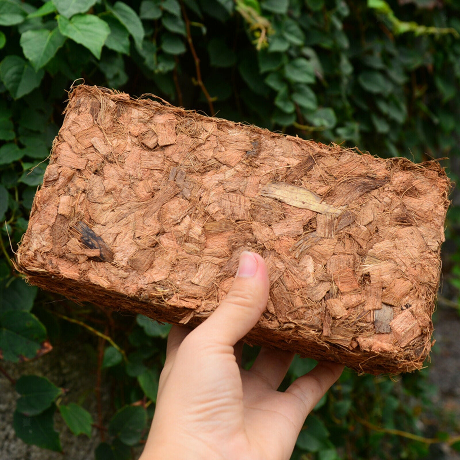 Premium Organic Coco Coir Bricks Fiber Block Soilless Potting Soil Garden
