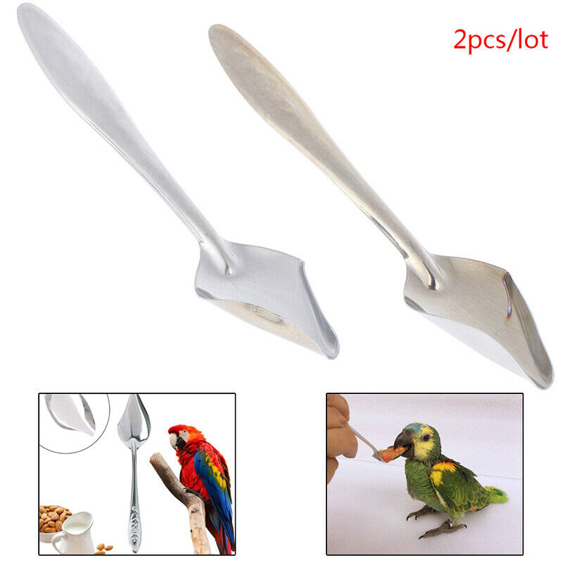 Bird Feeders Spoon Parrot's Milk Spoons Pets Supplies Water Feeding To.l8