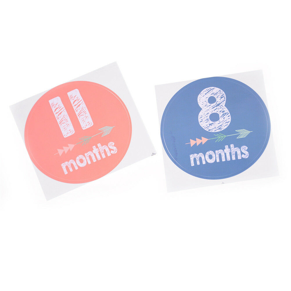 12Pcs/Set Baby 1-12 Monthly Photograph Stickers DIY Baby Shower Stickers J.l8