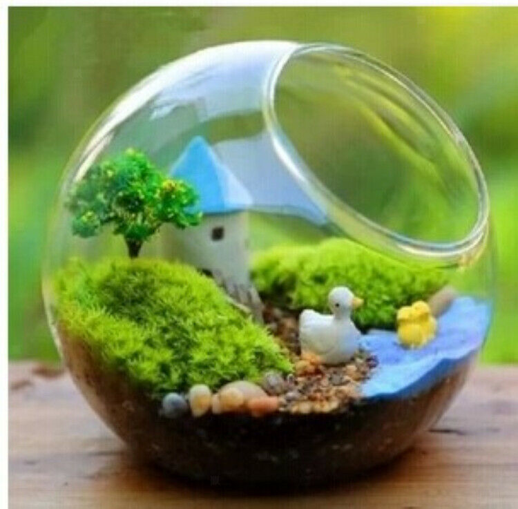 Clear Glass Flower Plant Vase Bottle Fairy Garden DIY Terrarium Container