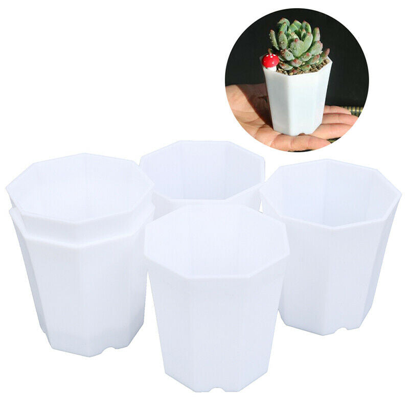 5Pcs Mini Plant Flower Pot Home Office Decor Plant Pot Home Flower SuppliesBDAU