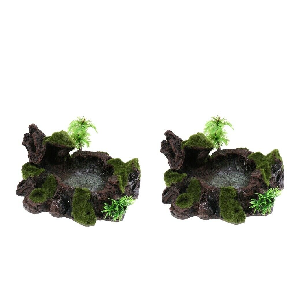 2x Reptile Water Lizards Turtle Feeder Dish for Reptile Bearded Dragons
