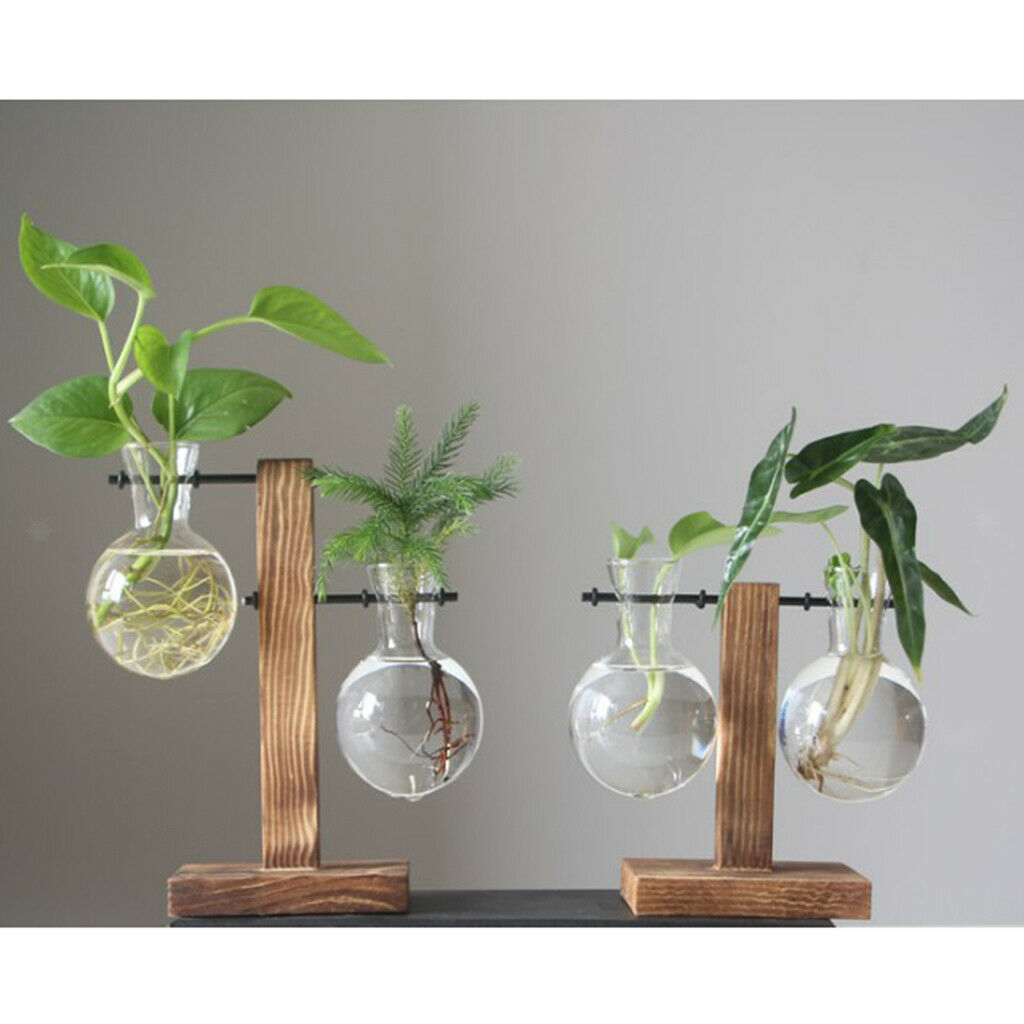 5pcs Glass Test Tube Vase with Wooden Stand Flower Vase Floral Arrangement