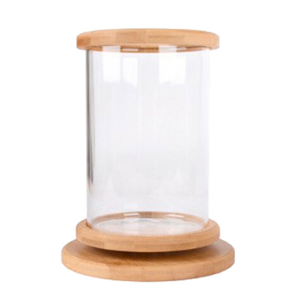 360 Degree Rotatable Cylinder Clear   Tank Small Aquarium Desktop Decoration