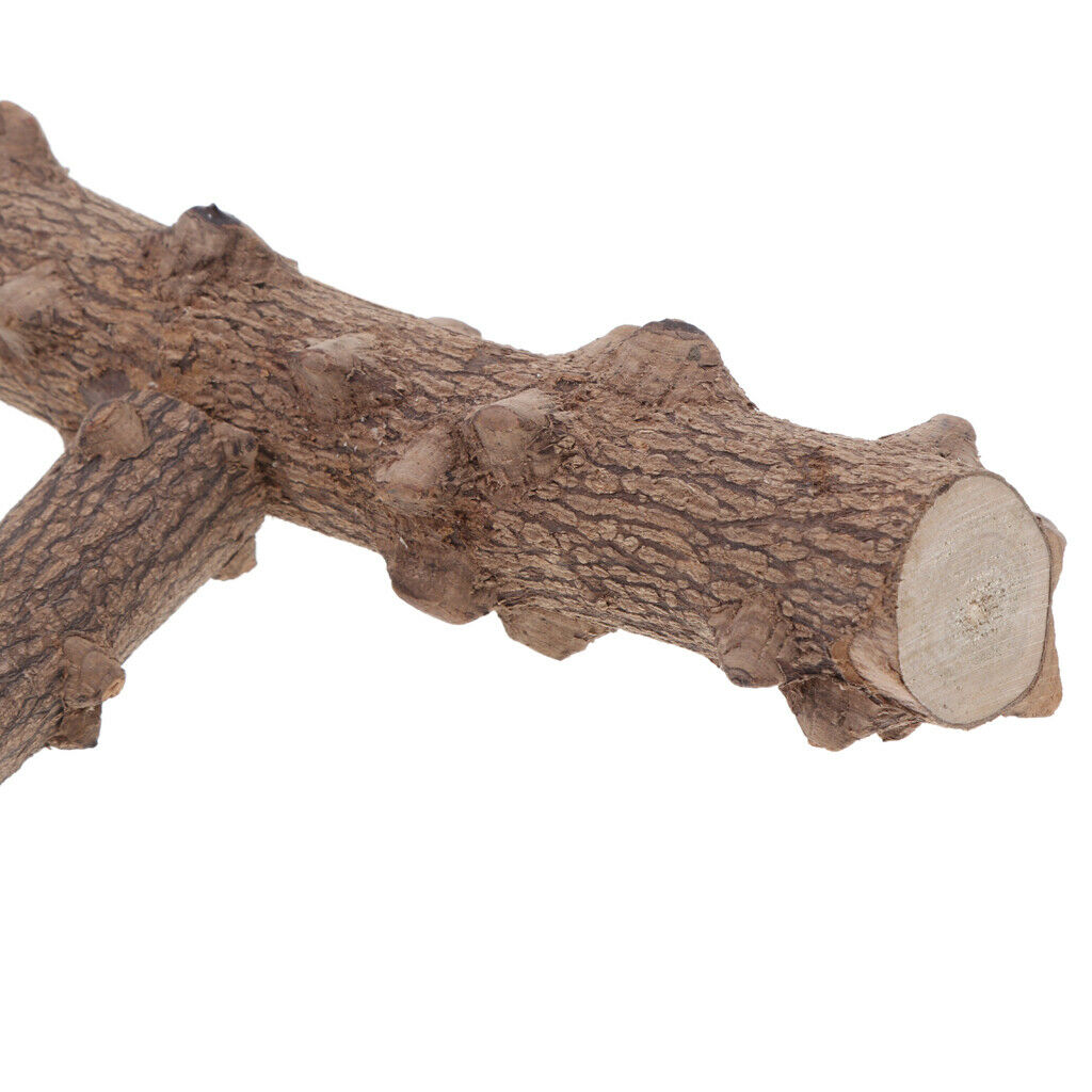 T-shape Wood Pet Parrot Perch Stand with Buckle, Outside/Cage Attachment
