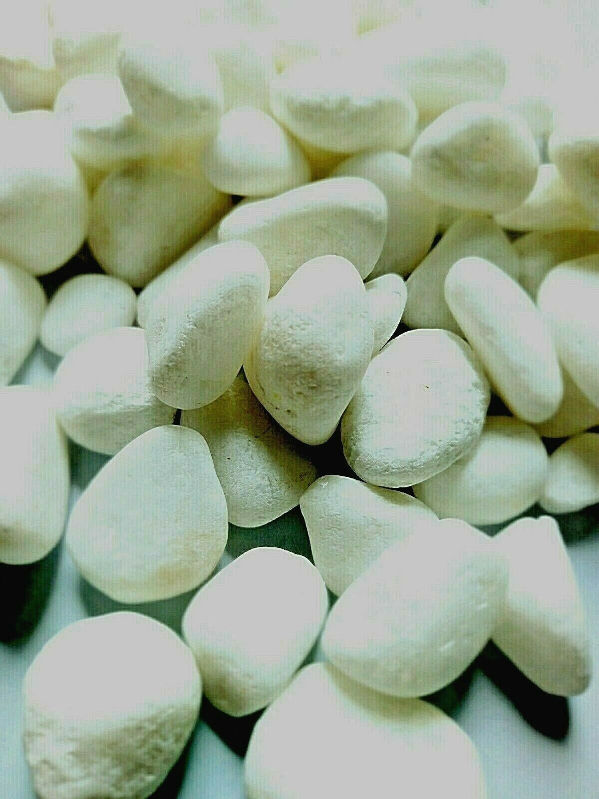 natural aquarium white pebbles gravel stones fish tank decorations 500g/1Lbs