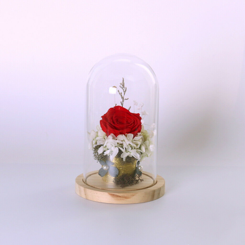 Glass Cover Landscape Vase Terrarium Round Wood Tray Flower Decor Gift L