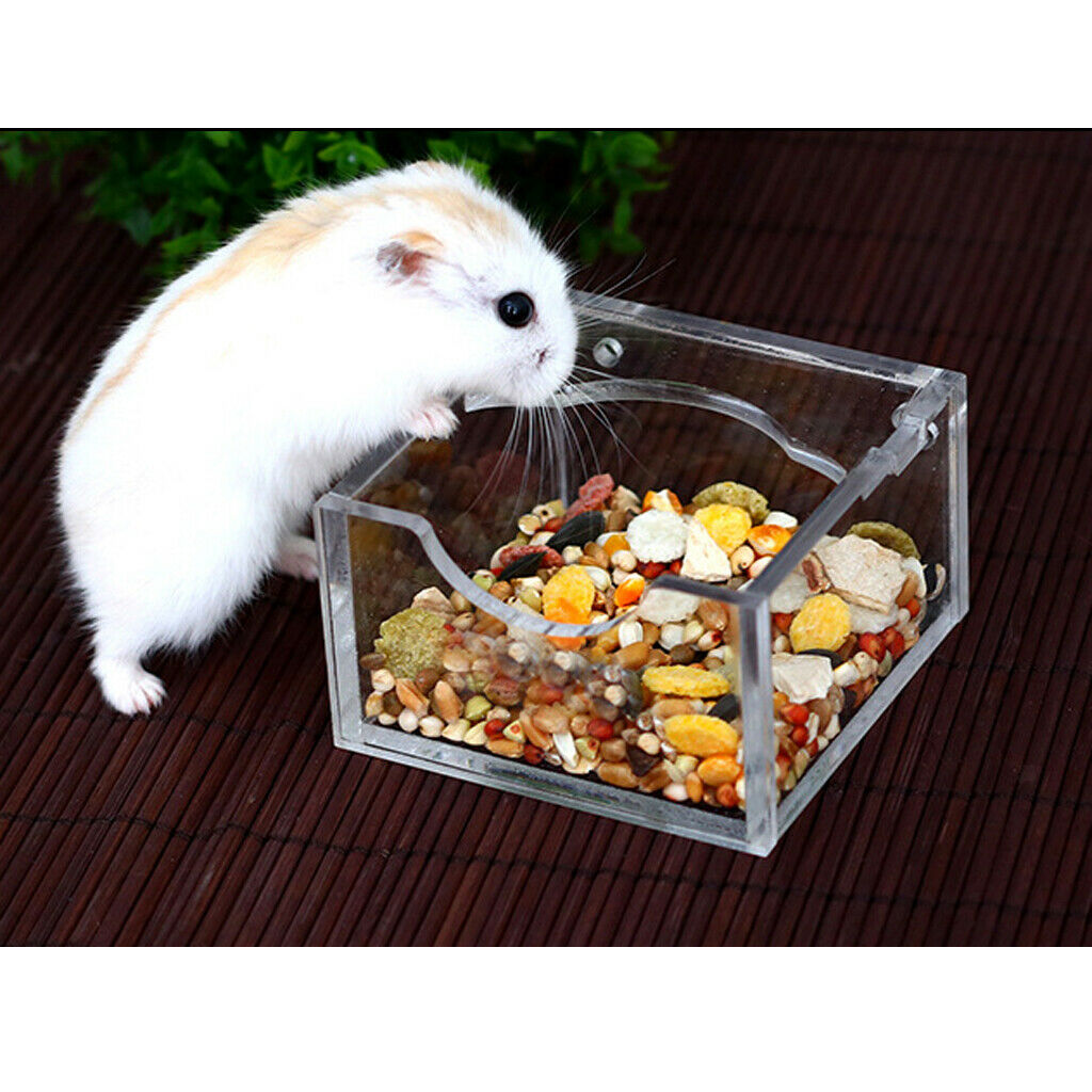 Light Acrylic Food Bowl Dish For Mouse Chinchilla Rats Gerbil Rats Hamster