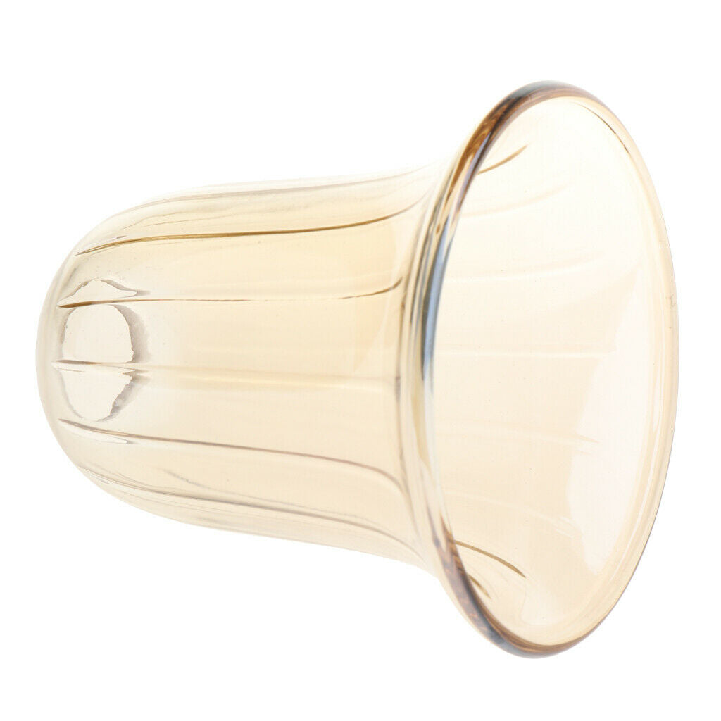 E14 Replacement Ceiling Chandelier Frosted and Clear Glass Lamp Shade Type 5