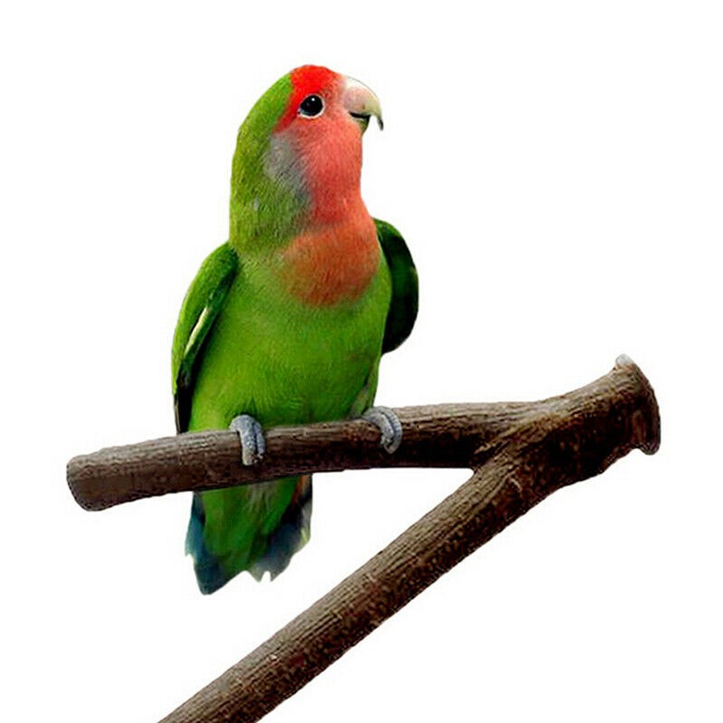 20cm Pet parrot standing stick wooden rod bite claw grinding toys accessorieFCA