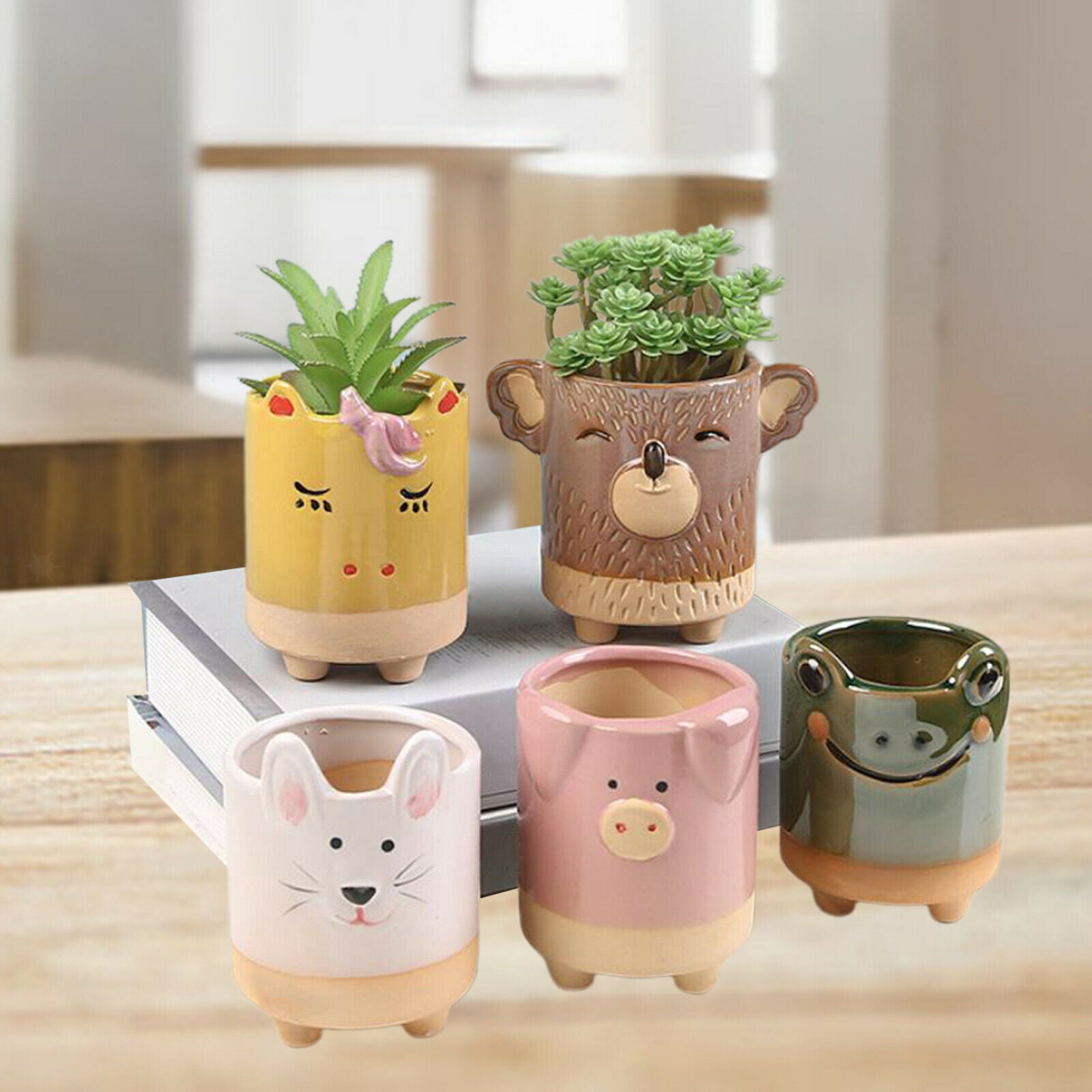 Flower Pot Animal Shaped Planters Pots 5pcs Koala Frog Desktop Decoration