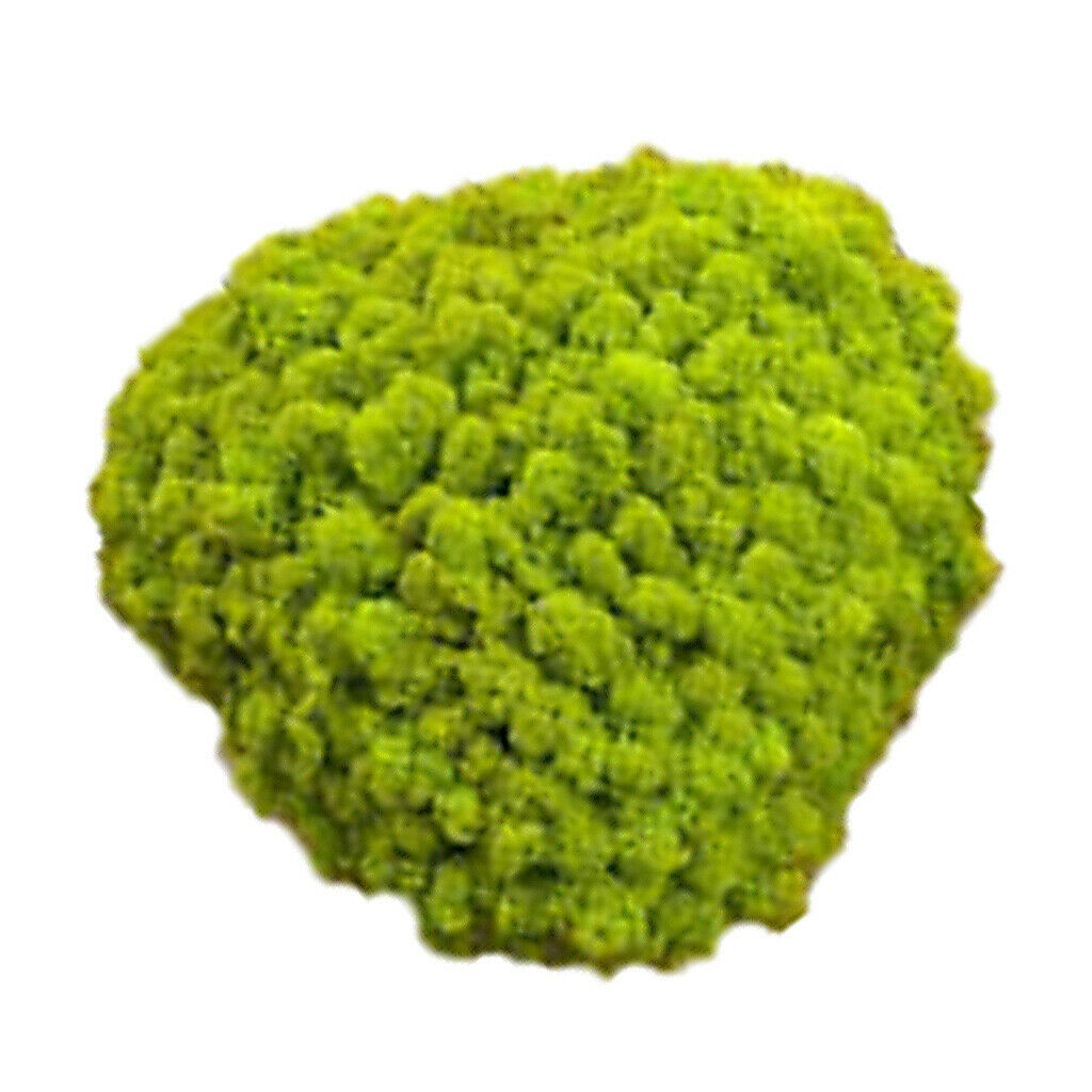 Set of 2 25g Wall Artificial Decorative Moss Ornaments for Bedroom Decor