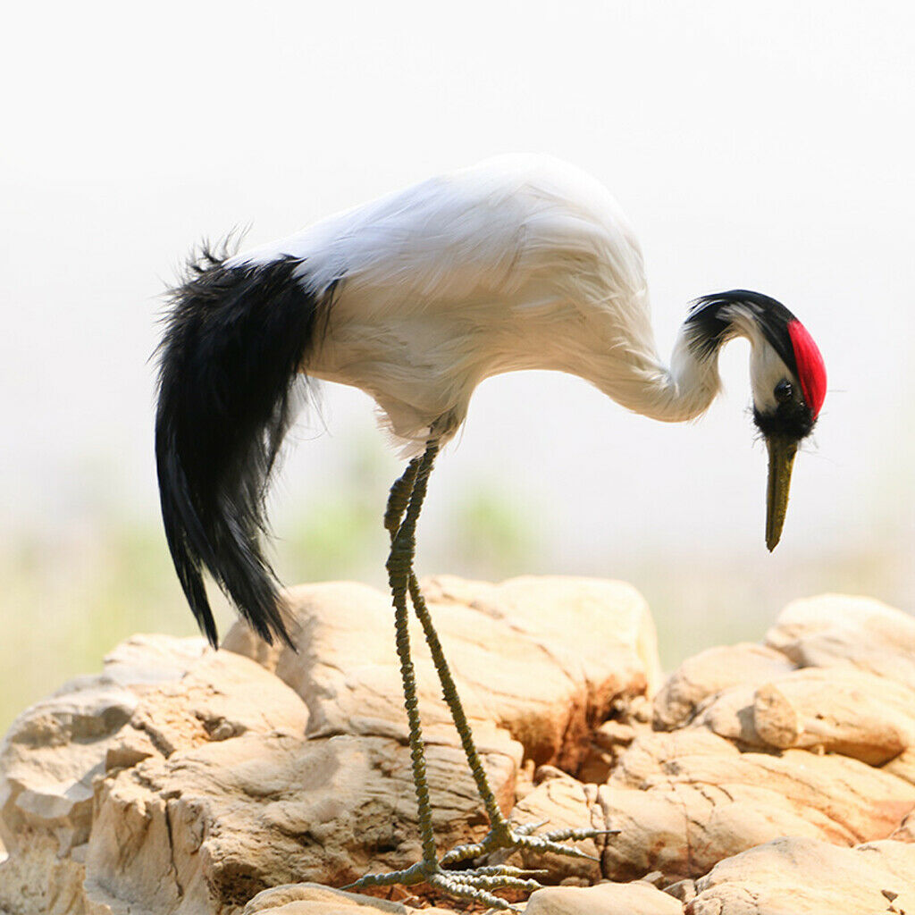 Se of 2 Artificial Red-crowned Crane Birds Statue Ornament Outdoor Decor