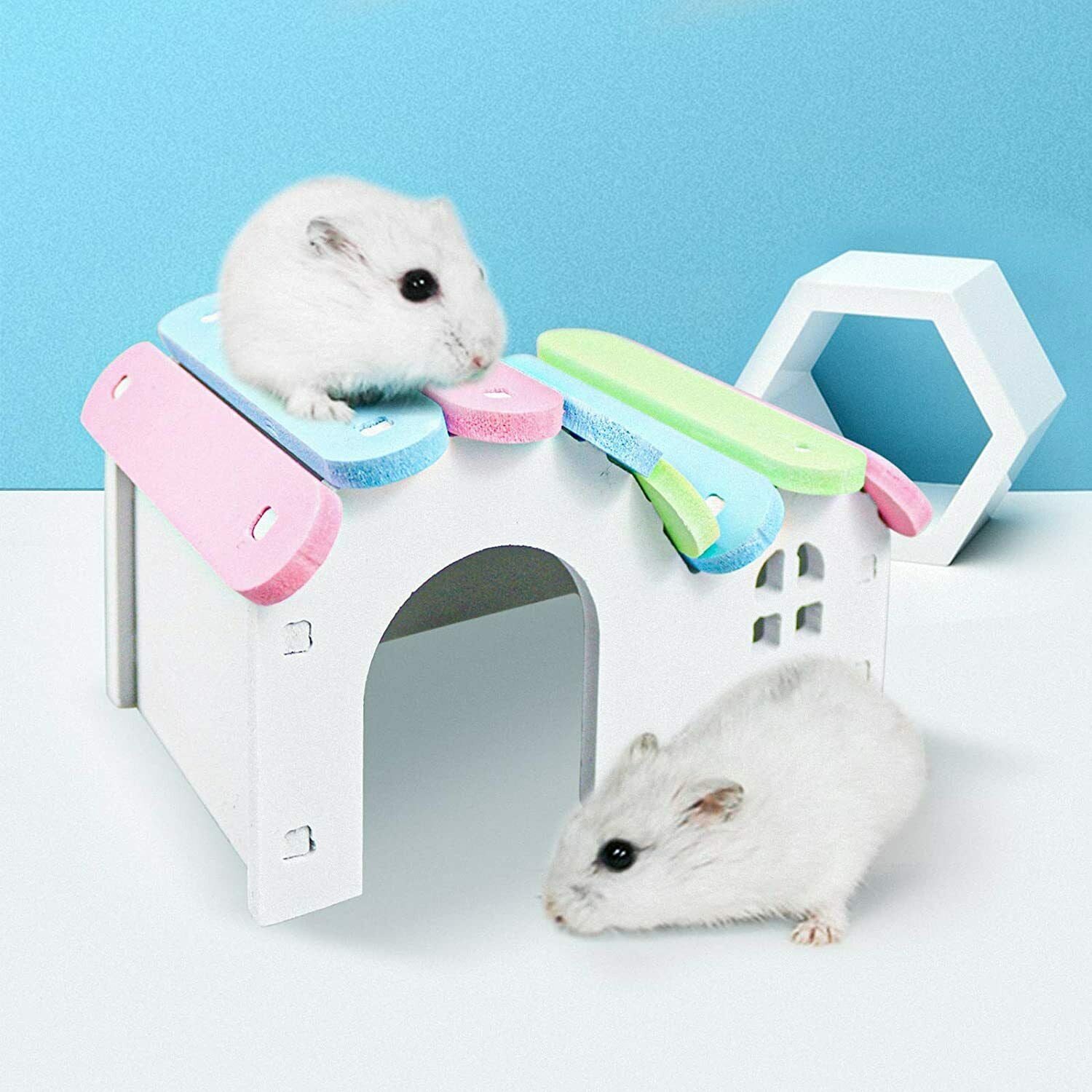 Pet Tooth Chew Toys Wooden Hamster House Chew Grass Balls Rainbow Hamster Toys