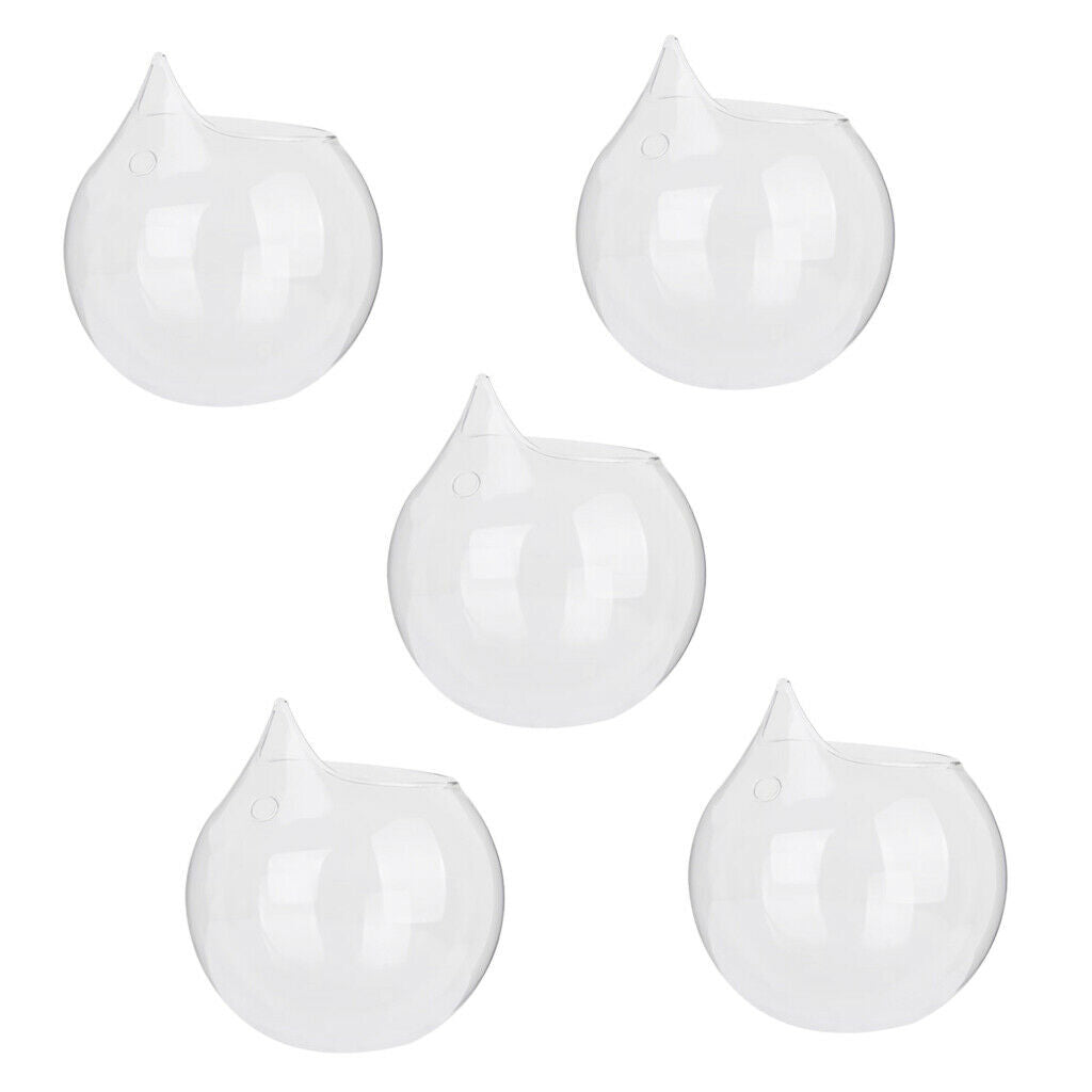 5 Pack Wall Hanging Vase Glass Flower Plant Terrarium Planters, Transparent