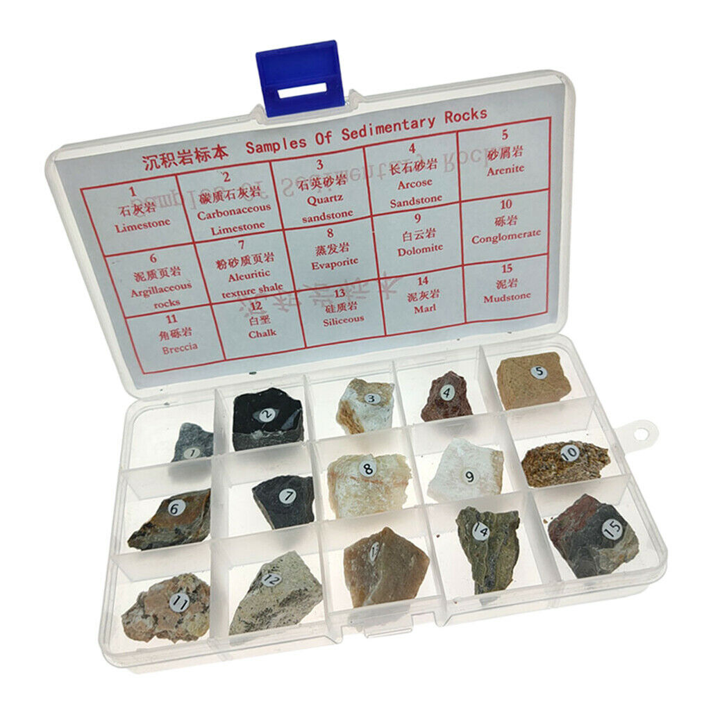 15pcs Sedimentary Rock Specimen Collection Teaching Aid Supplies w/ Box
