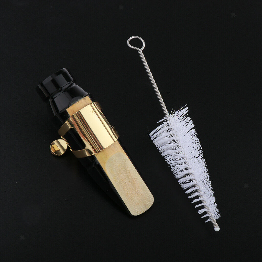 Alto Saxophone Mouthpiece with Ligature, Reeds, Brush, Protective