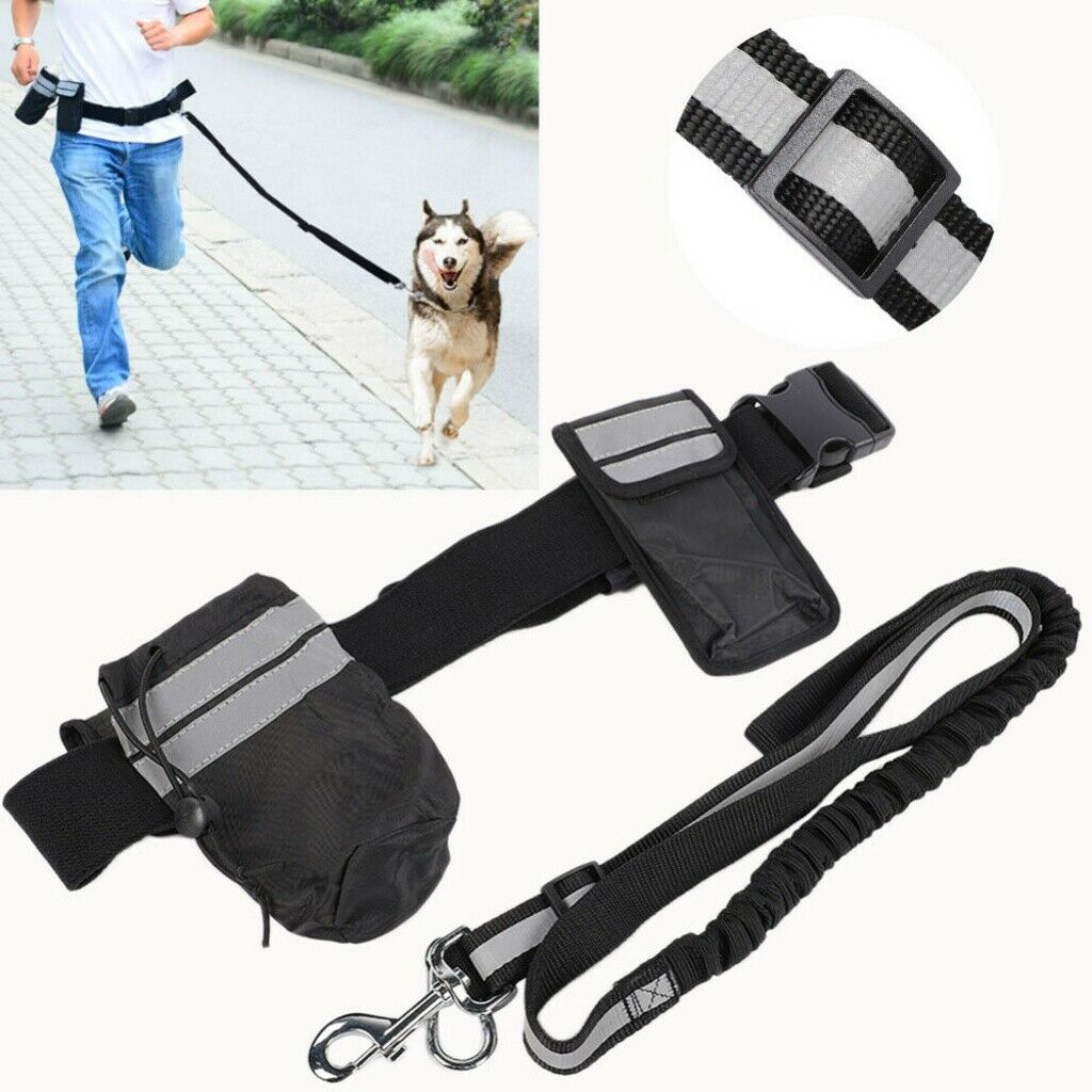 Pet Running Training Traction Rope Black Dogs Walking Leash Supplies with Belt