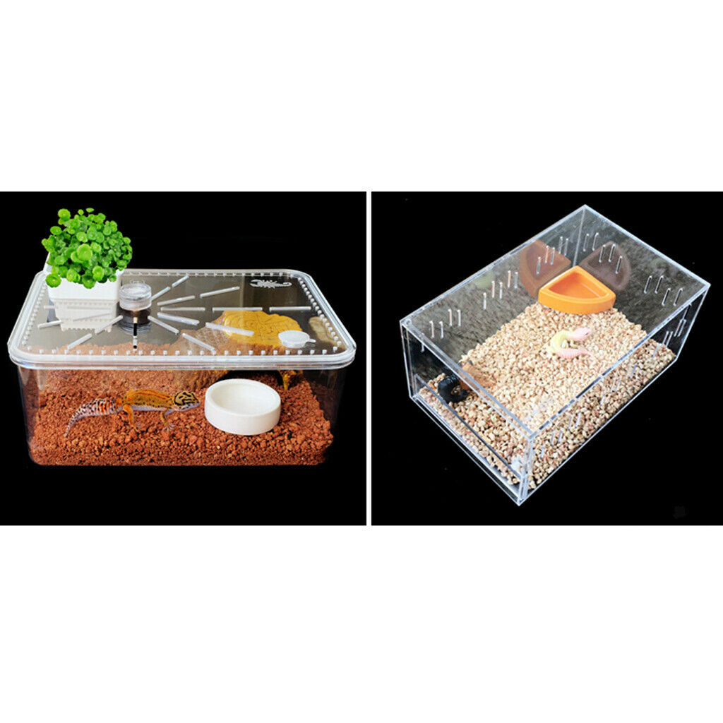 4Pcs Worm Dish Reptile Mealworms Cups or Water Bowl Ceramic Made