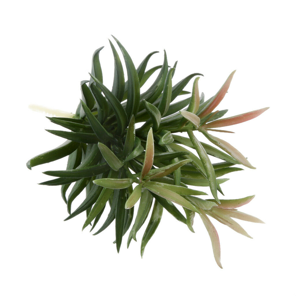 Artificial Succulent Real Touch 3-Bunch Green Leaf Plant Foliage Home Decor