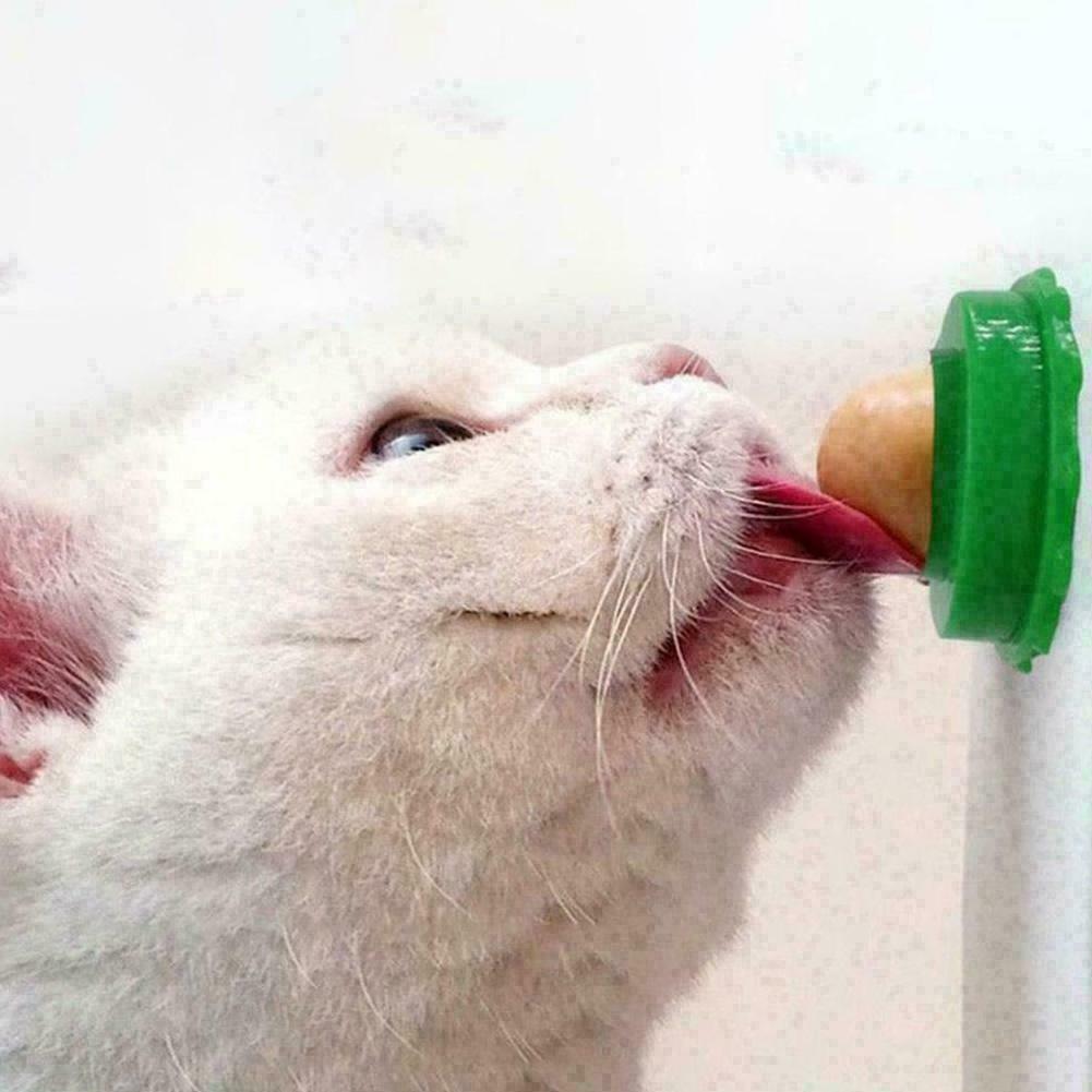Pets Licking Fun Cat Candy Kitten Licking Toys Various Catnip K4O4 Of new