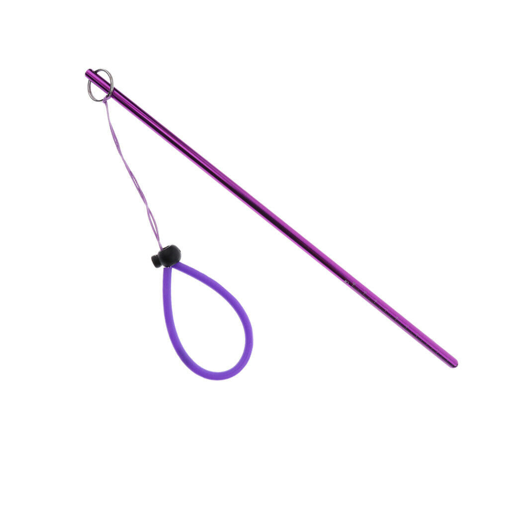 2 pieces 13.78 "/ 25 cm Aluminum Dipping Lobster Stick Pointer Rod
