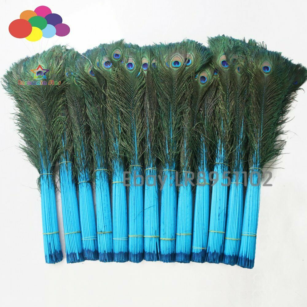 blue lake 100 pcs beautiful Peacock feathers 70-80cm for Crafts DIY weddings