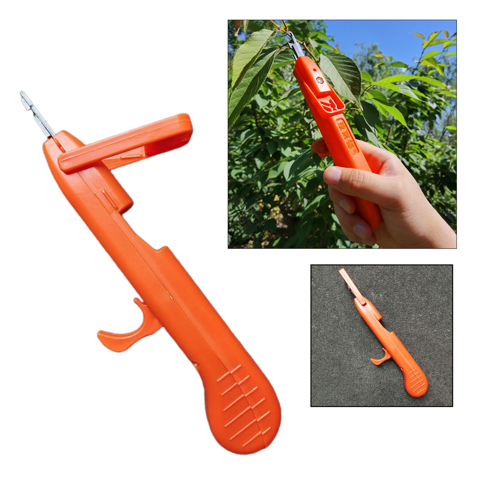 Household Small Pepper Flower Branch Scissors Orchard Pruner Shears Tools