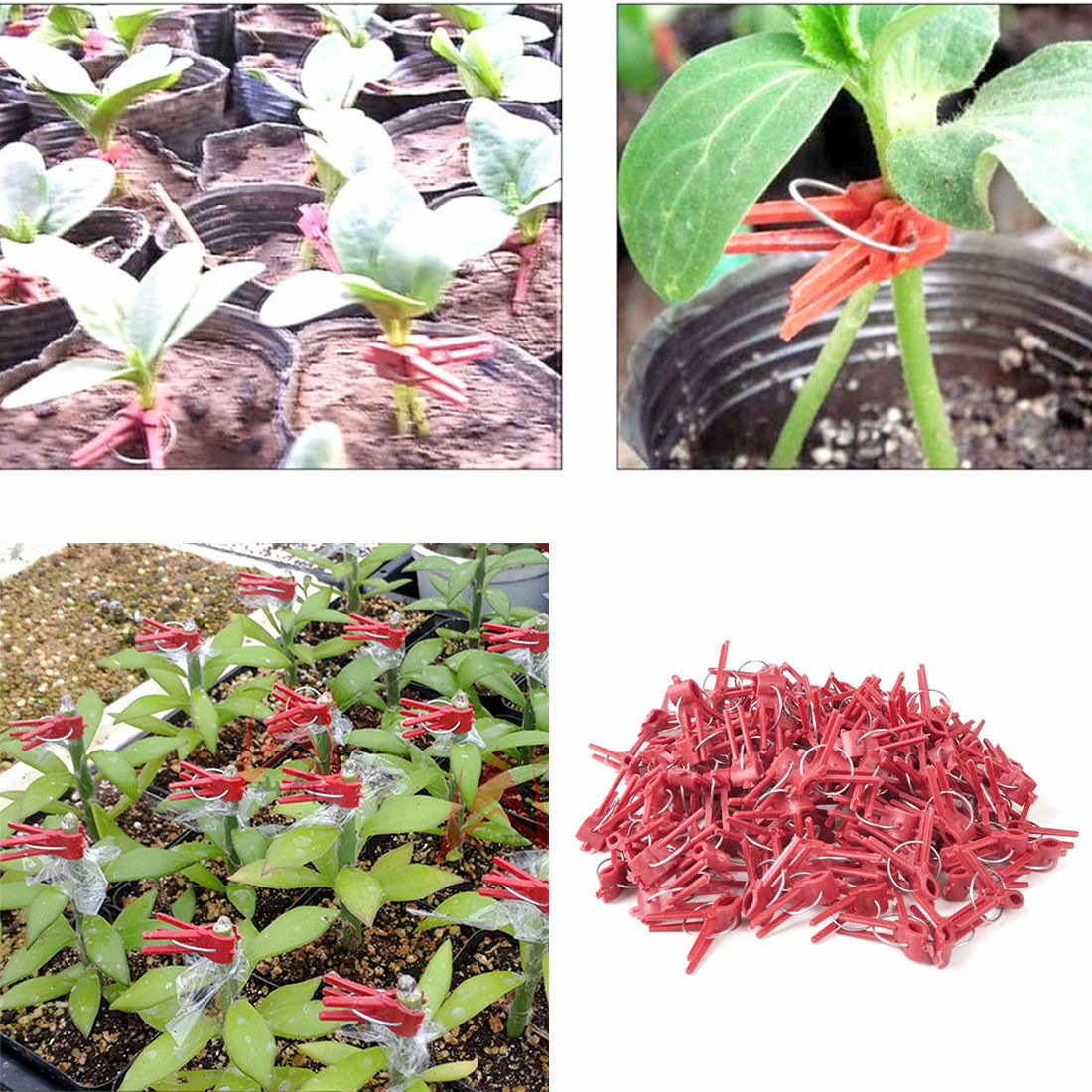 50pcs Durable Plastic Grafting Clips Garden Vegetable Flower Vine Bushes Plants