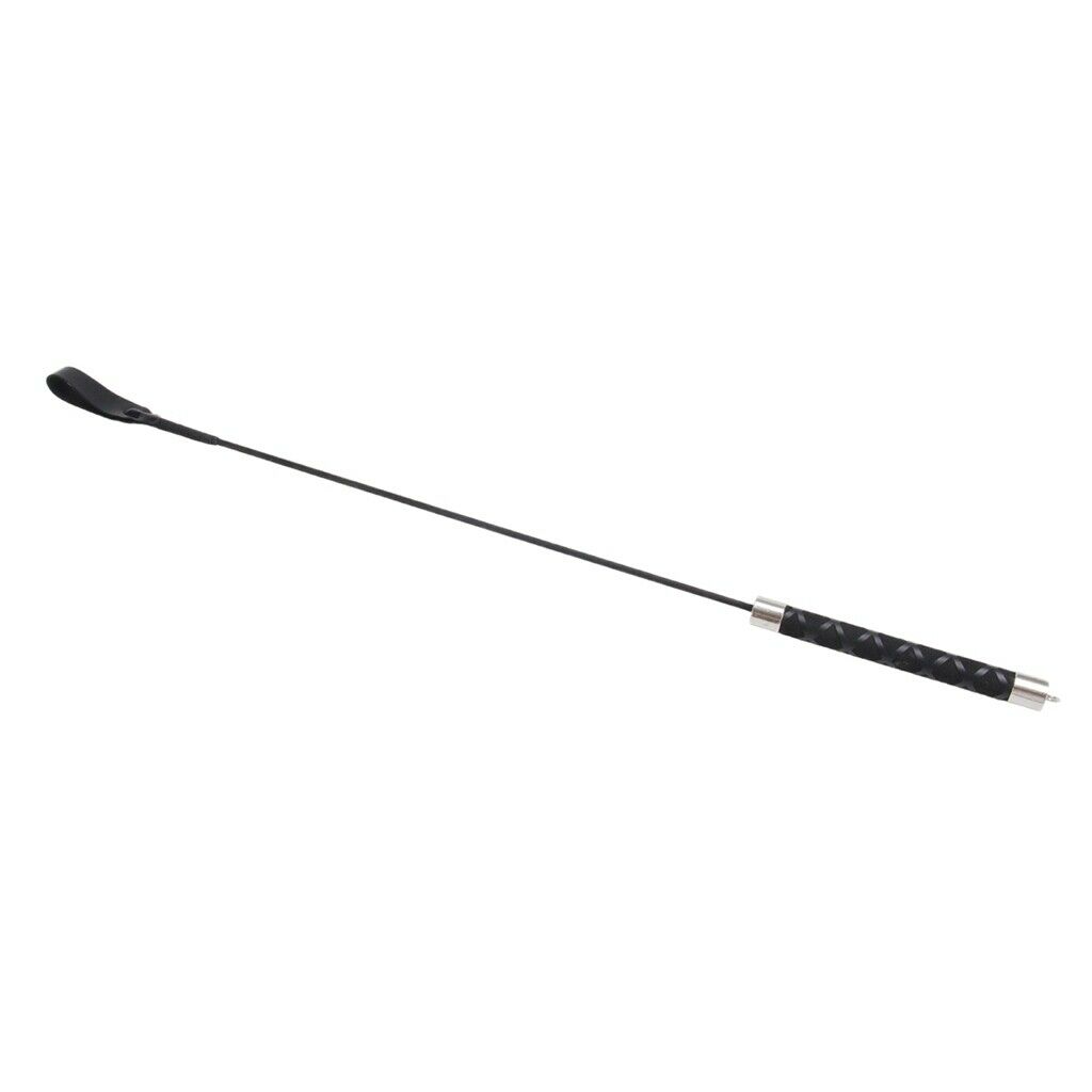 Pet Protective Equipment Training Stick