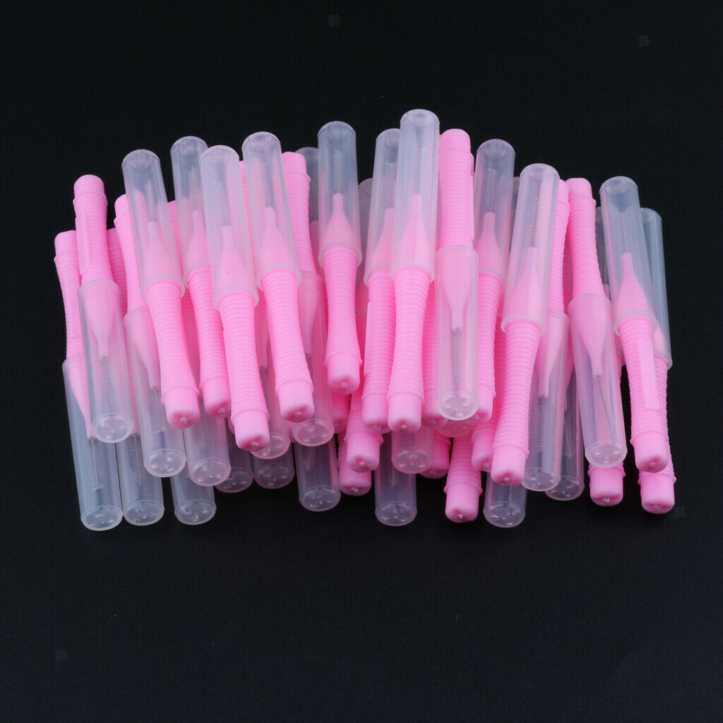 80x Portable Interdental Brush Flosser Toothpick with Lids Oral Blue+Pink