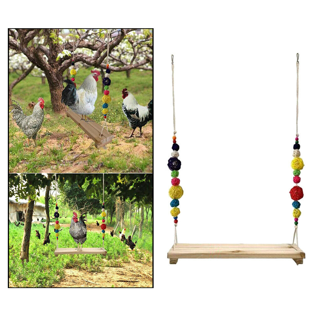 Chicken Swing Perch for Chicken Hens Large Birds Macaws Finches Parakeet