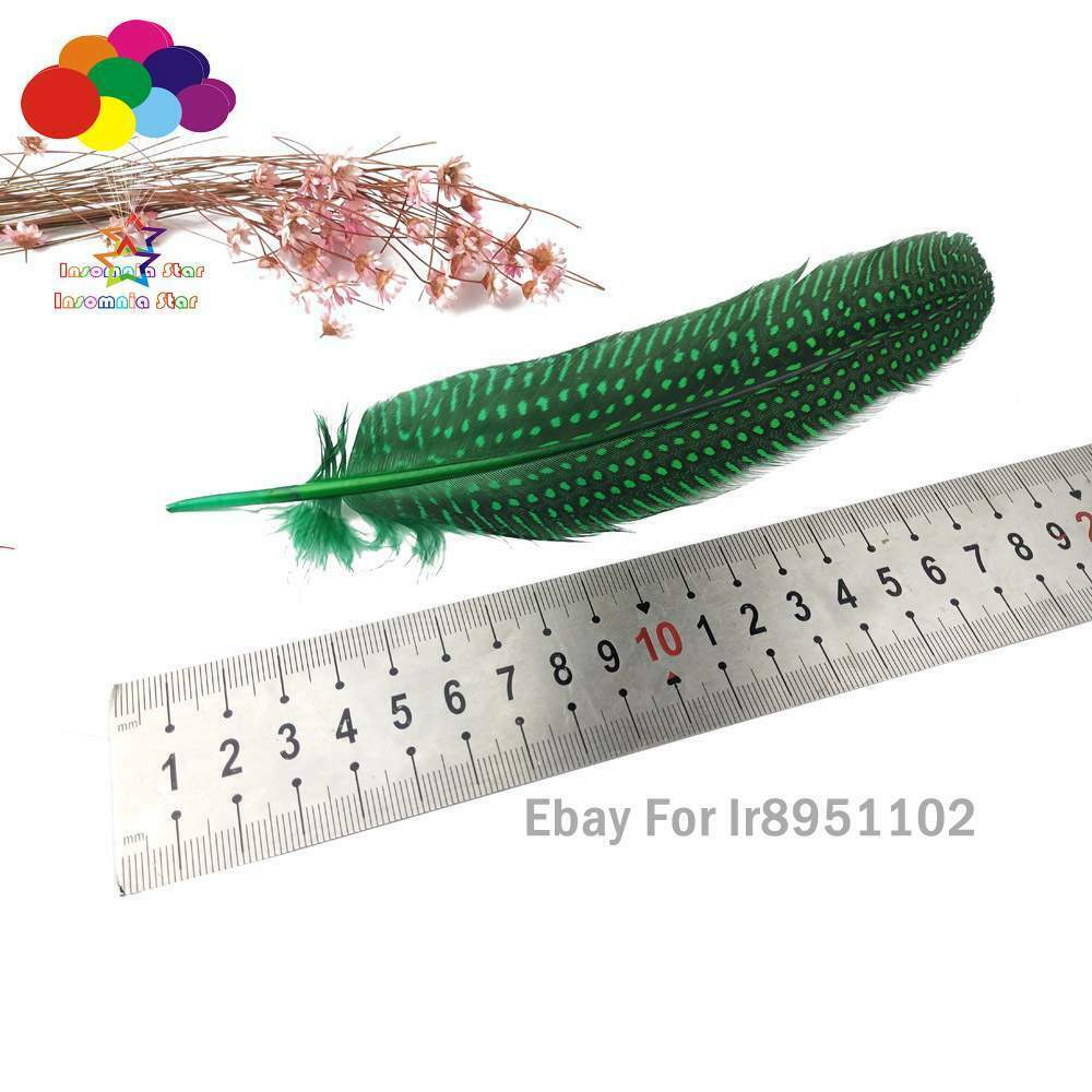 Dyed Grass green 15~20cm Length 100pcs/lot Polka Dot Guinea Fowl Wing Feathers