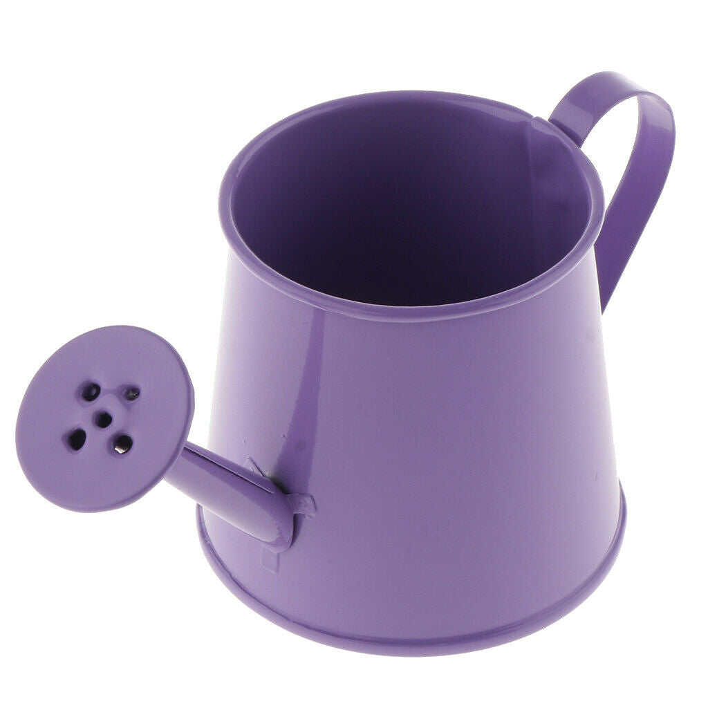 3Pcs Iron Pitcher Watering Can Home Furnishing Decorative Flower Arrangements