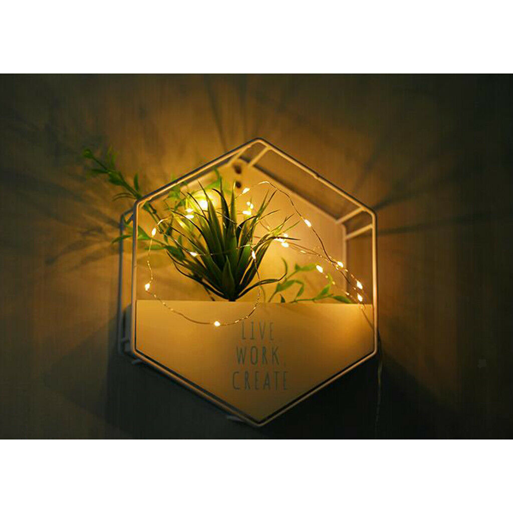 LED Copper String Light Holiday decoration b Warm White_2m